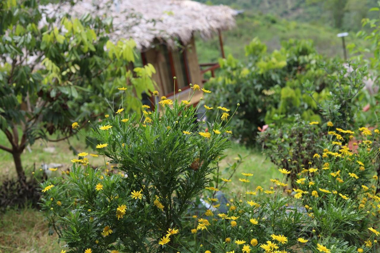 Moc Chau Peachy Garden公寓 外观 照片