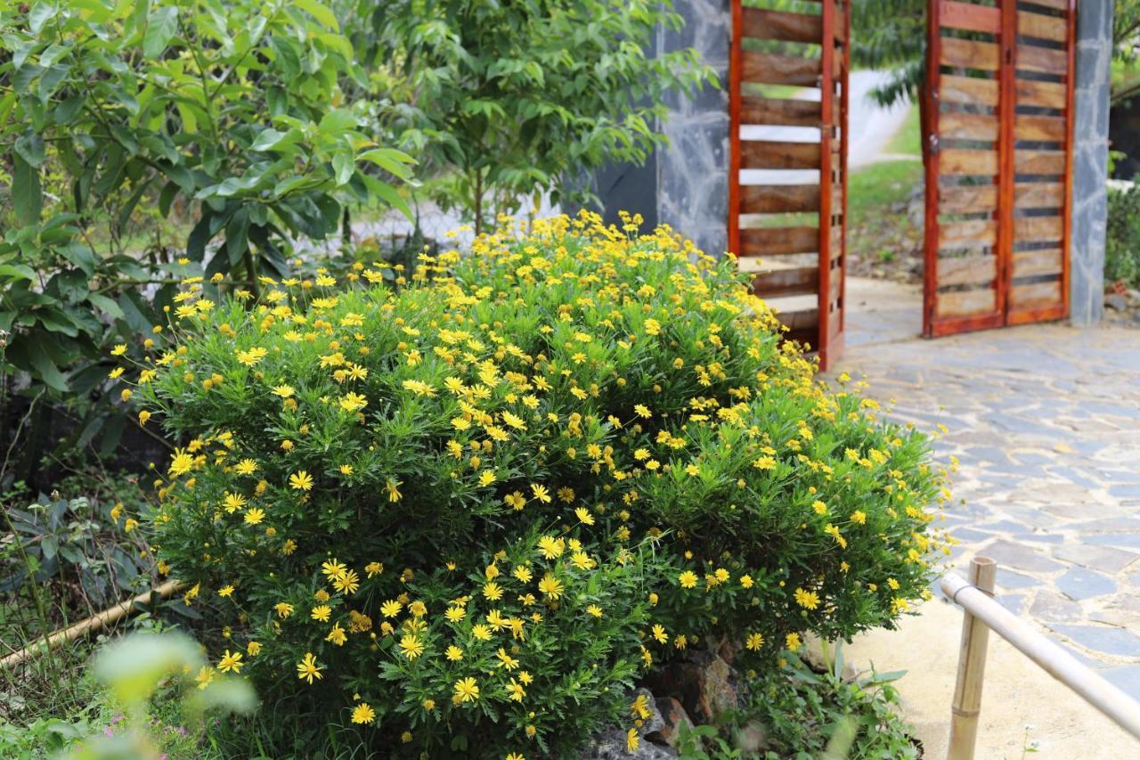 Moc Chau Peachy Garden公寓 外观 照片