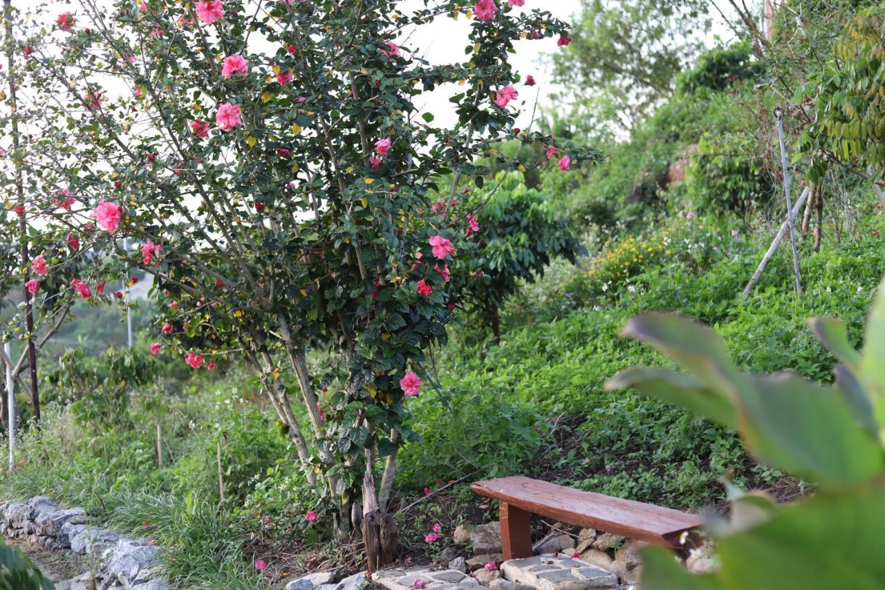 Moc Chau Peachy Garden公寓 外观 照片