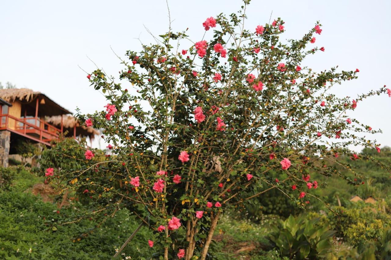 Moc Chau Peachy Garden公寓 外观 照片