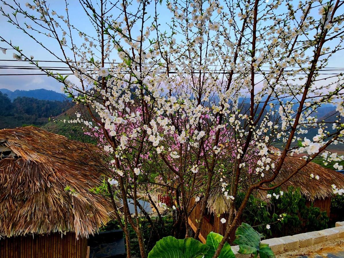 Moc Chau Peachy Garden公寓 外观 照片