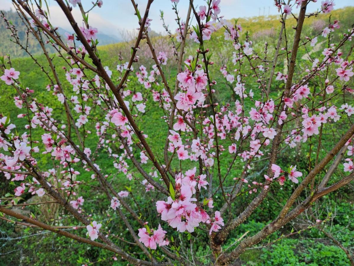 Moc Chau Peachy Garden公寓 外观 照片