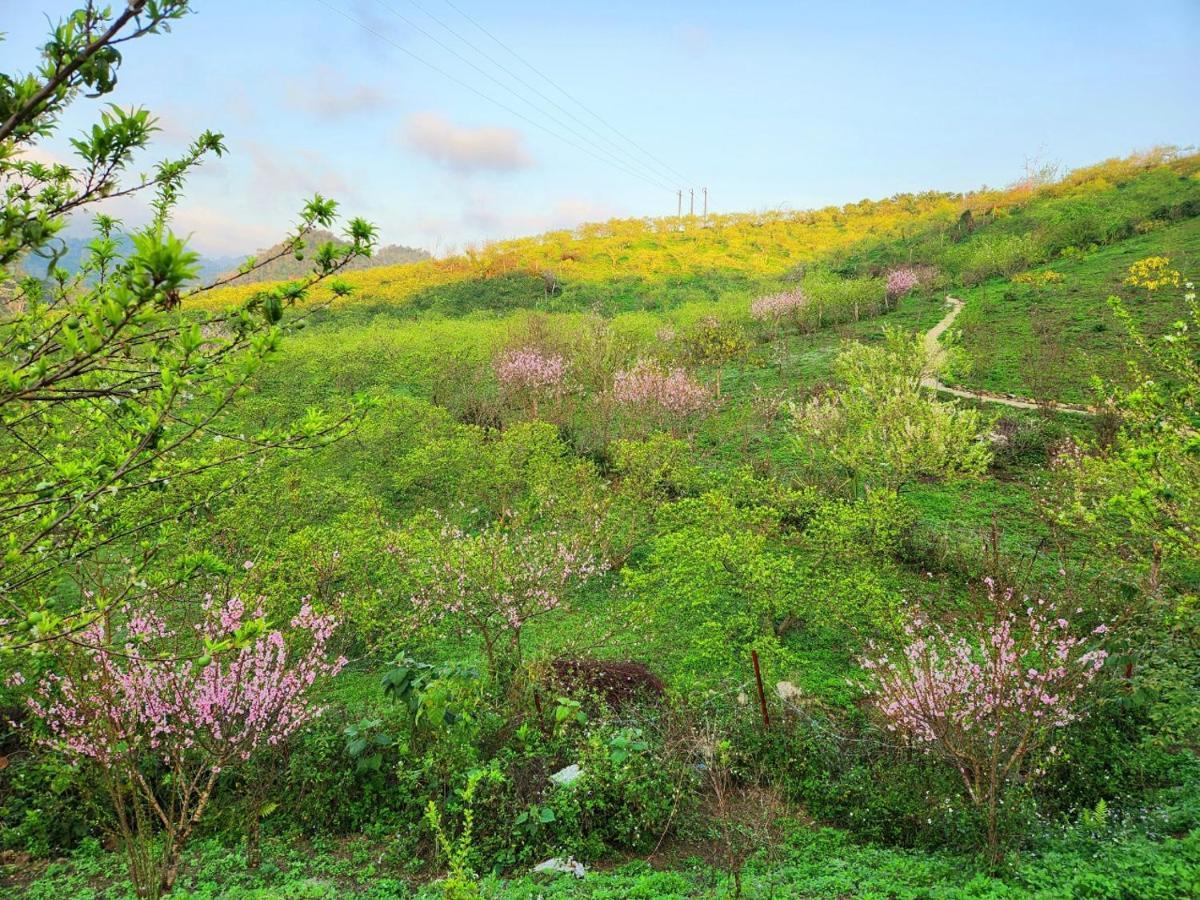 Moc Chau Peachy Garden公寓 外观 照片