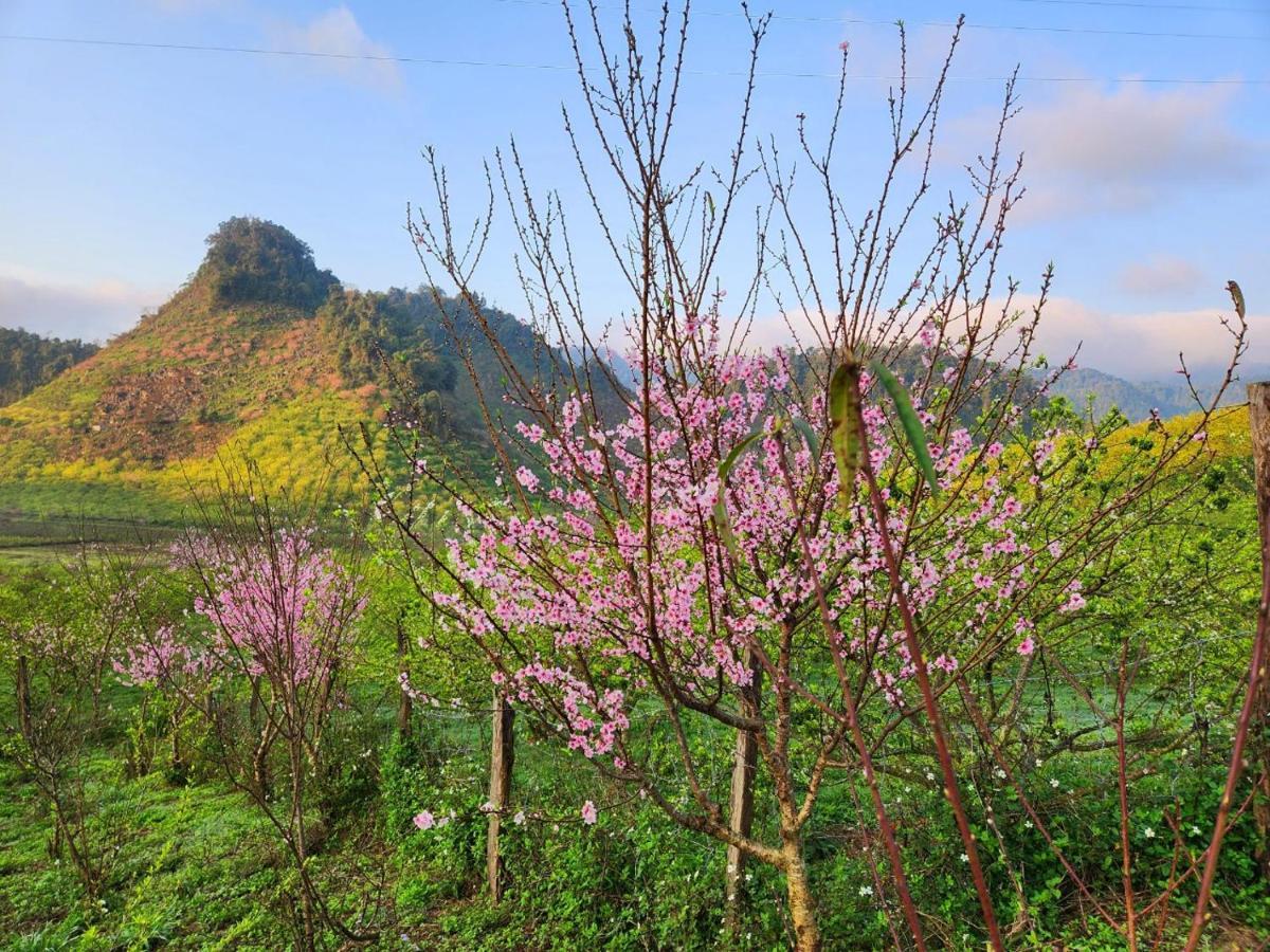 Moc Chau Peachy Garden公寓 外观 照片