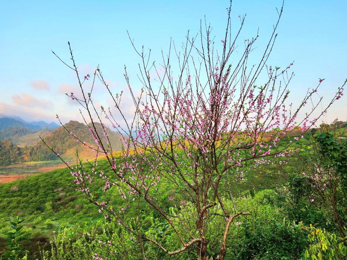 Moc Chau Peachy Garden公寓 外观 照片