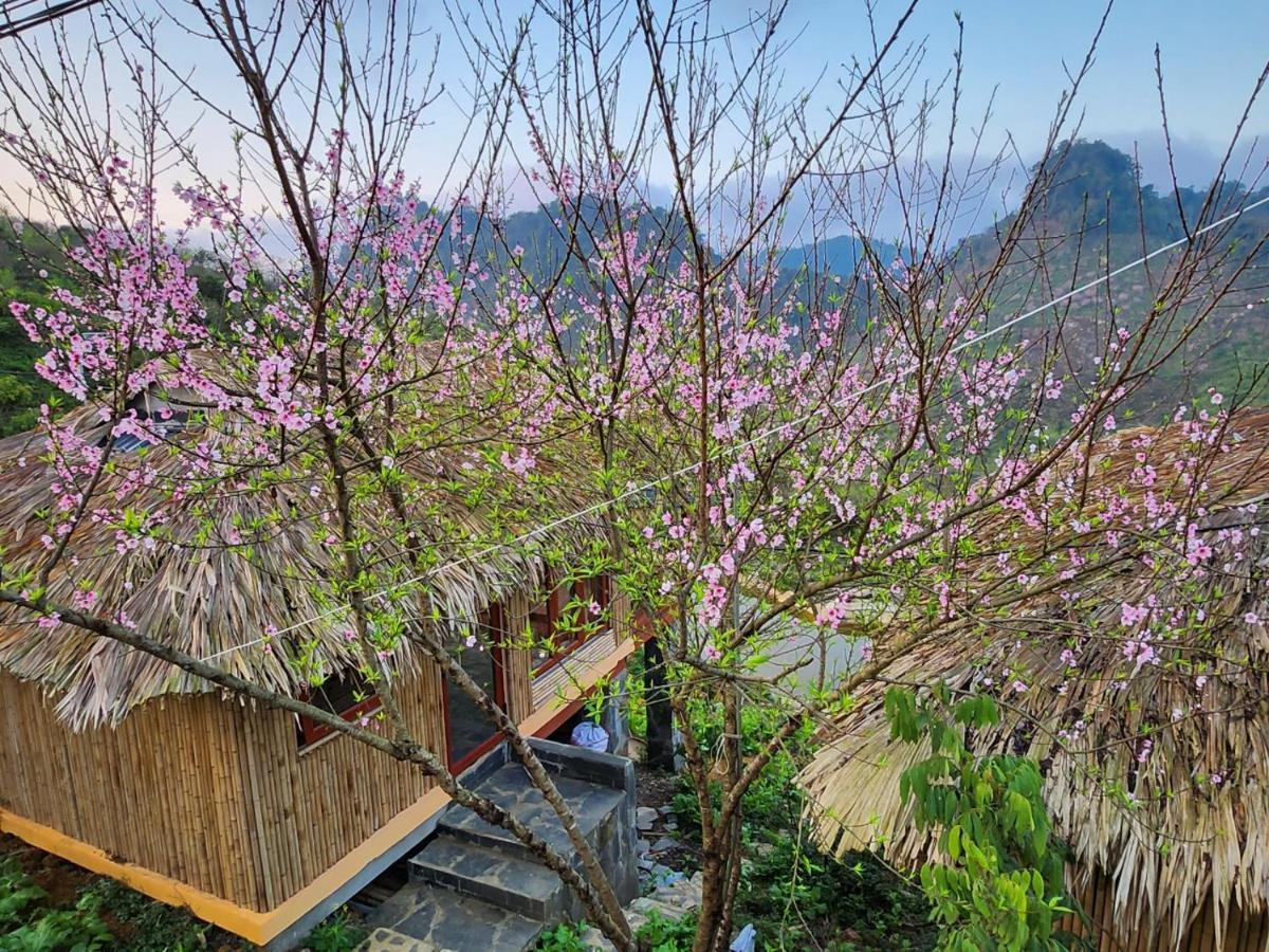 Moc Chau Peachy Garden公寓 外观 照片