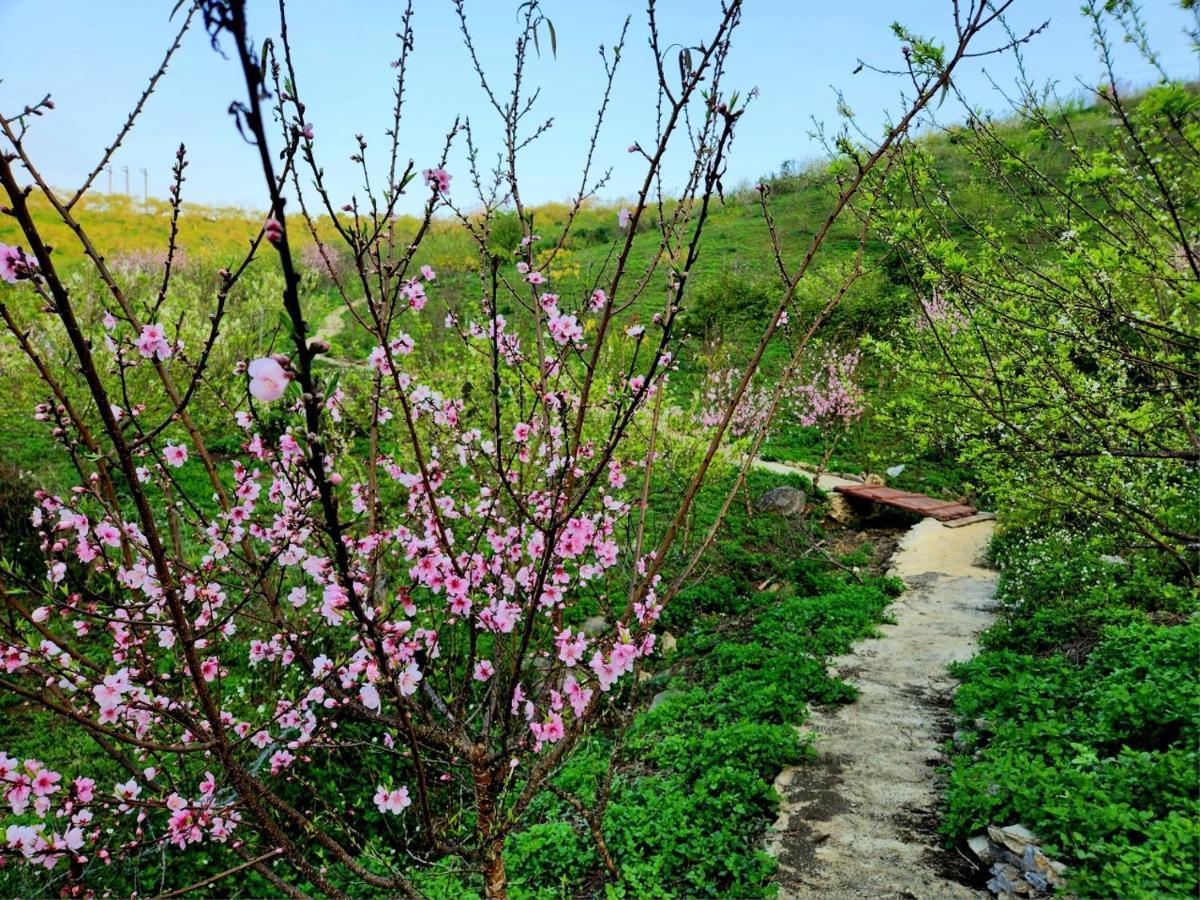 Moc Chau Peachy Garden公寓 外观 照片