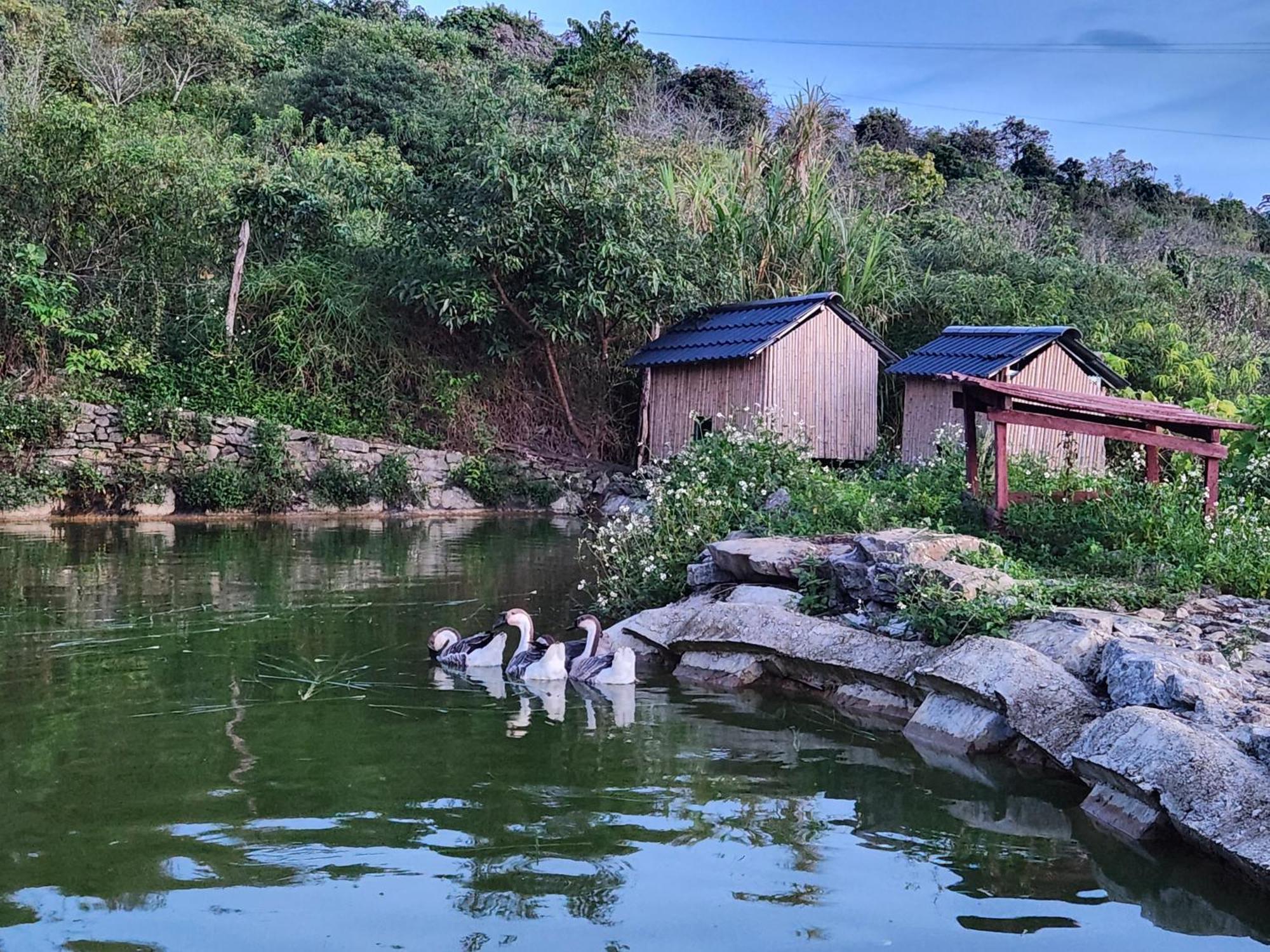 Moc Chau Peachy Garden公寓 外观 照片
