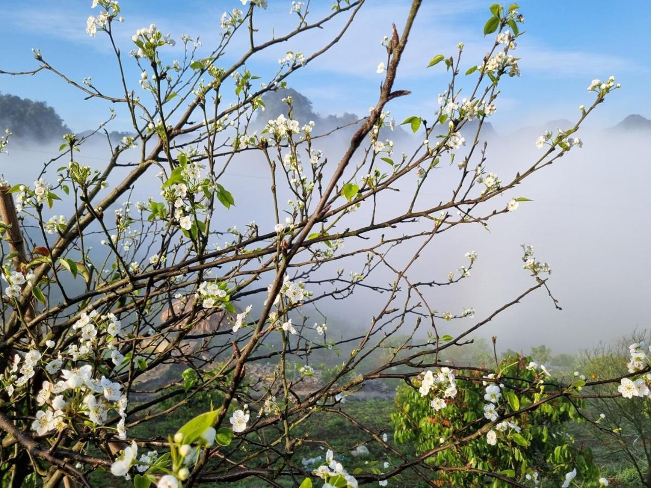 Moc Chau Peachy Garden公寓 外观 照片