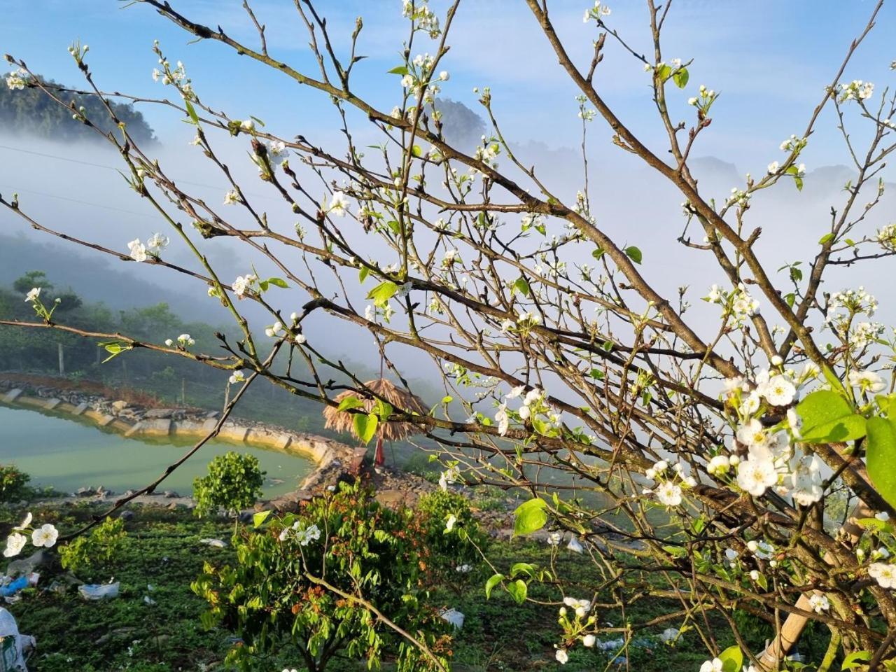 Moc Chau Peachy Garden公寓 外观 照片